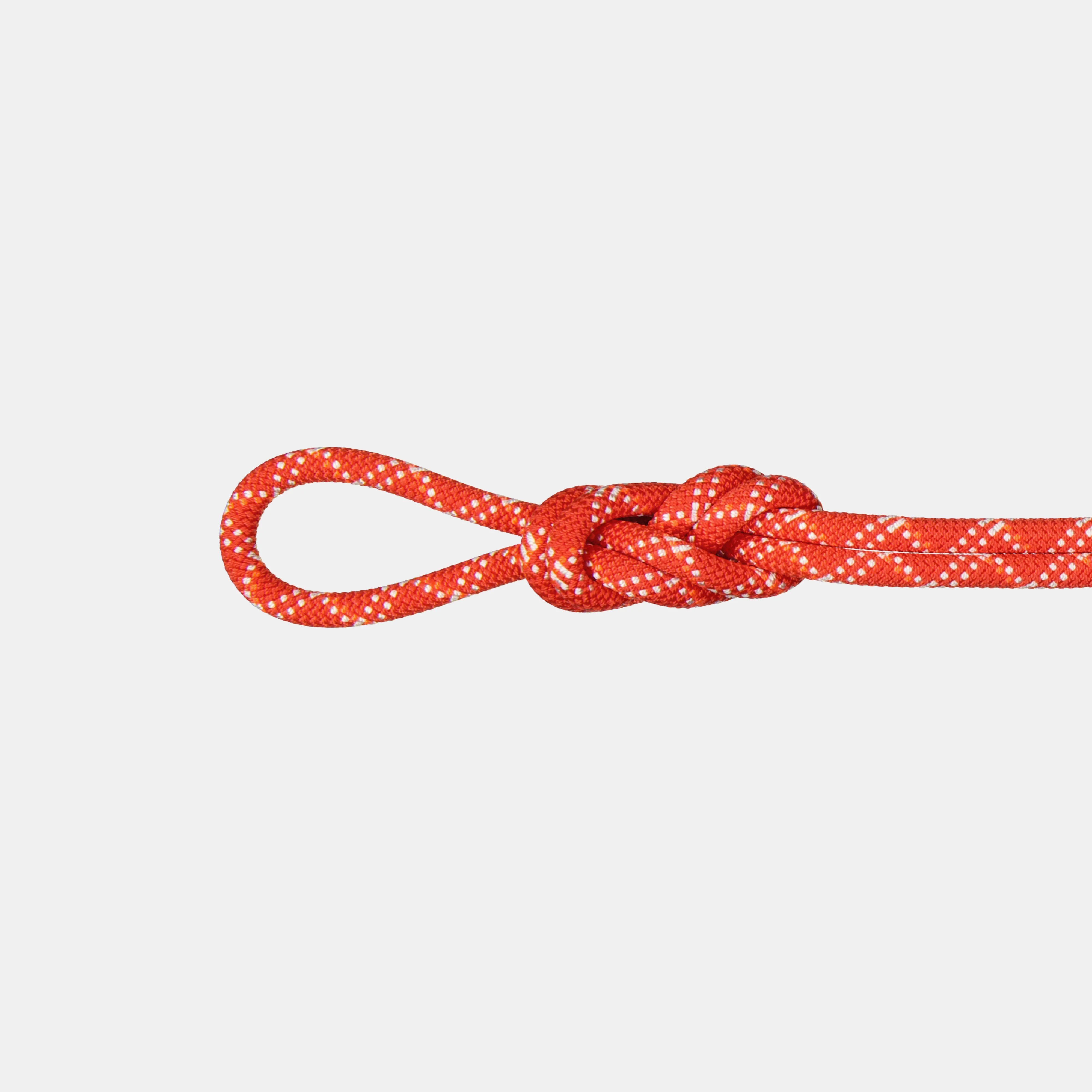 Gym Classic Rope 9.5mm - Image 3