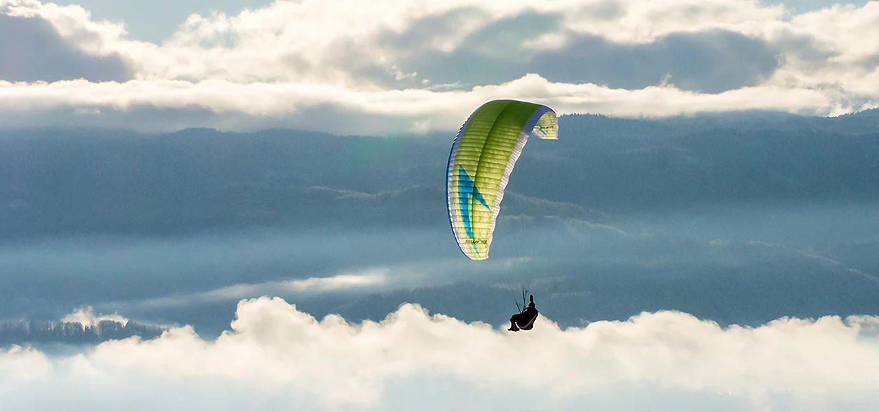 Arcus 2 RS - Image 4