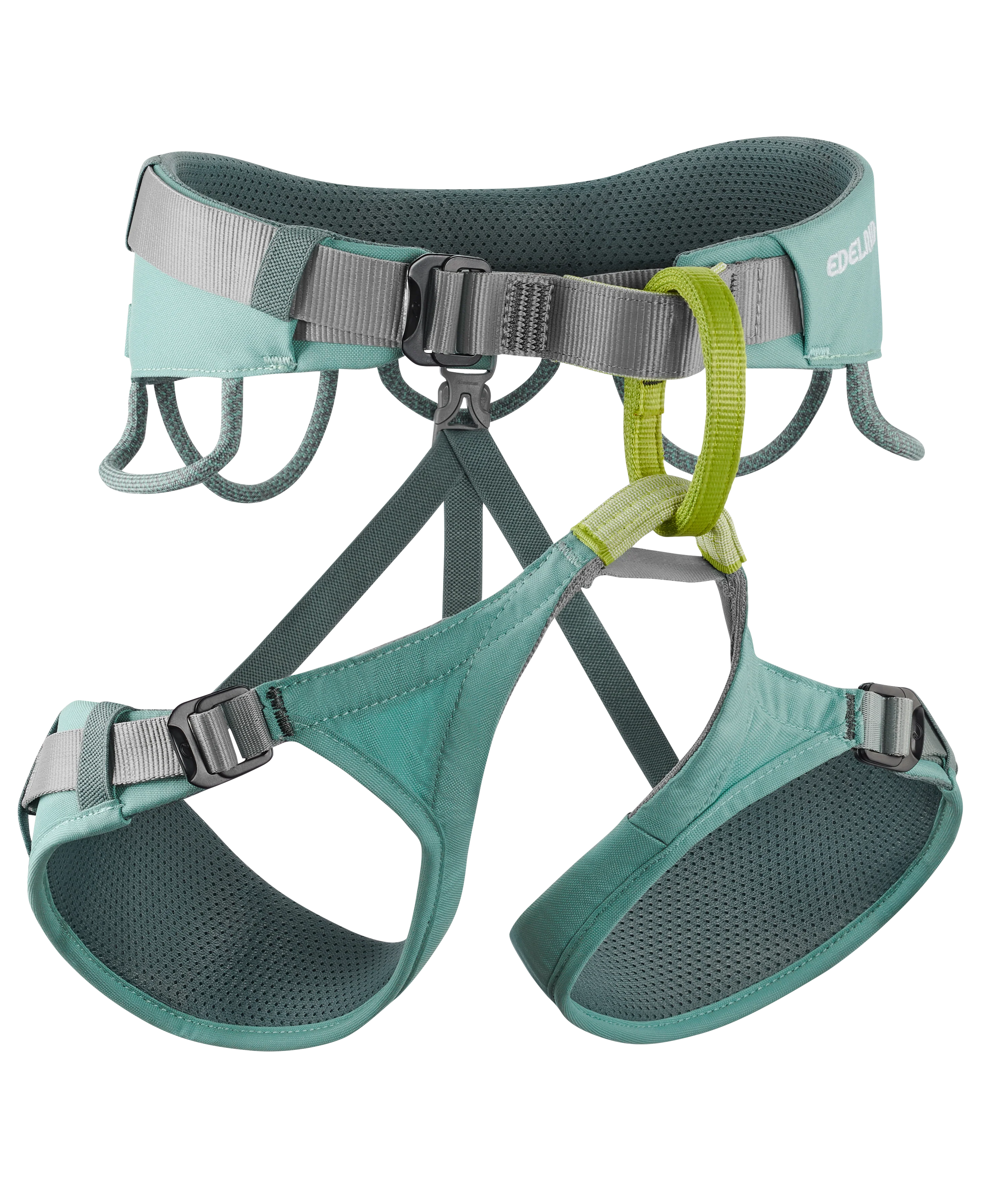Jayne IV Harness