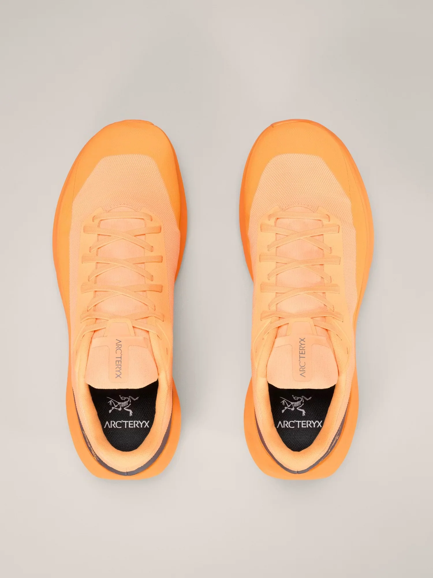 Norvan LD 4 Shoe Men's - Image 6